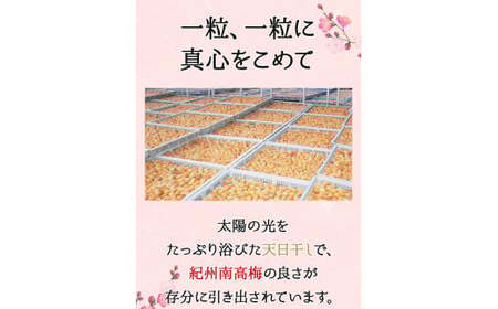 梅干し 750g 紀州南高梅梅白梅干し 塩分15％【kfo015-1】