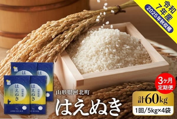 
                  【令和7年産米】※選べる配送時期※ はえぬき 60kg 定期便 （20kg×3回） 山形県産【米COMEかほく協同組合】
                