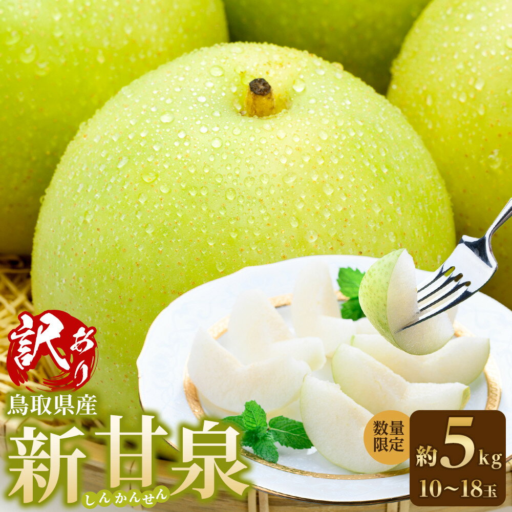 【ふるさと納税】【先行予約】鳥取県産 梨 新甘泉 約5kg （10～18玉） 数量限定 訳あり | 鳥取県産 訳あり 梨 新甘泉 しんかんせん 和梨 数量限定 先行予約 カロリー なし 果物 フルーツ くだもの 栄養 効能 ビタミン おすすめ 人気 送料無料 鳥取県 琴浦町