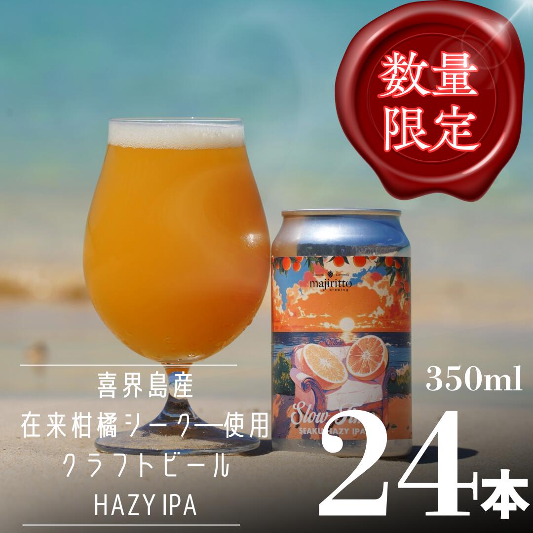 【ふるさと納税】クラフトビールSlow Time 24本　5.5%　350ml