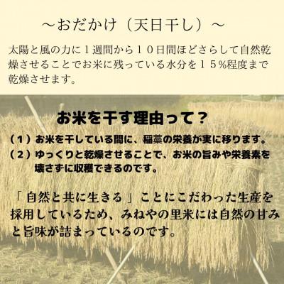 ふるさと納税 いすみ市 【数量限定】令和7年産　みねやの里米　こしひかり(精米)　5Kg |  | 02