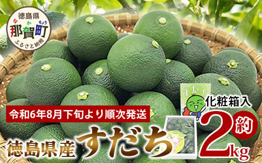 
【2024年8月下旬より順次発送】澄んだ空気と清らかな水で育った 特選 すだち 約2kg 徳島県 柑橘 フルーツ 果物 KF-2
