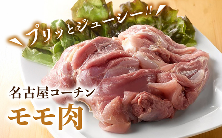 三和 純鶏 名古屋コーチン もも肉 110g×5袋 小分け 冷凍 真空パック 肉 地鶏 鶏肉 創業明治33年 さんわ 鶏三和 とり肉 もも 国産 渥美半島 愛知県 田原市 小分け 肉