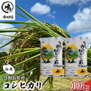 【ふるさと納税】コシヒカリ　白米　10kg（5kg×2）令和6年産　 お米 精米 ご飯 コシヒカリ 美味しい 粘り つやつや 甘み 　お届け：2024年8月中旬～2025年8月下旬まで