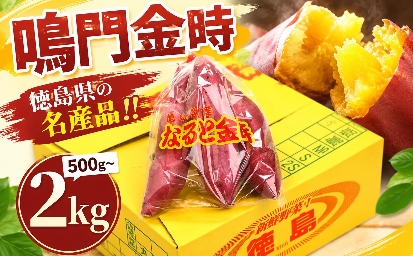 
                  さつまいも なると金時 甘藷 選べる 500g 1kg 2kg Sサイズ ~ 2Sサイズ サツマイモ さつま芋 鳴門金時 金時 ホクホク 焼き芋 天ぷら 大学芋 スイートポテト おやつ かんしょ 純国産 徳島県
                
