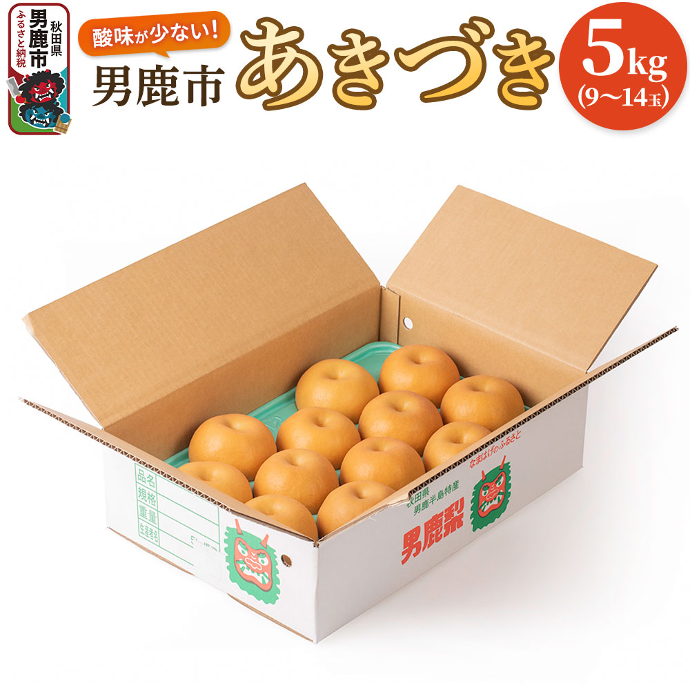 【令和8年度 早期受付】あきづき 5kg 9～14玉 梨 なし ナシ 秋田県 男鹿市 旬の果物 フルーツ