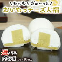 【ふるさと納税】【 菓子庵たちかわ 】 おいもっ チーズ 大福 ( 選べる 内容量 ) 手作り もちもち スイーツ 芋 イモ いも 芋あん 芋ようかん ようかん 羊羹 クリームチーズ もち 和菓子 菓子 お菓子 餡子 あんこ