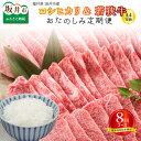 【ふるさと納税】【定期便 8回コース】 福井県 坂井市産コシヒカリ 計60kg ＋ 坂井市産 福井県産 若狭牛A4等級 計2kg （すき焼き1kg 焼肉1kg）(国産 和牛)