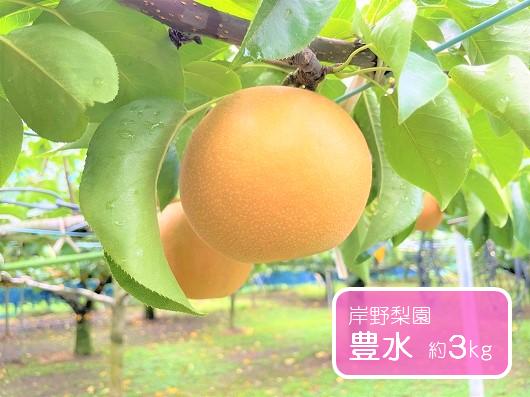 
豊水 約3kg / 岸野梨園 / 梨 なし 果物
