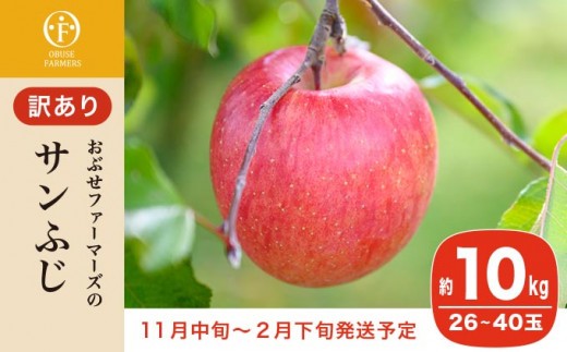 
                  【訳あり】 サンふじ 約10kg 22～40玉［おぶせファーマーズ］不揃い 規格外 家庭用 りんご 林檎 リンゴ 果物 フルーツ ふじ 長野 信州 数量限定 令和8年産  【 2026年11月中旬～2027年2月下旬発送】［F-540］
                