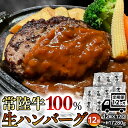 【ふるさと納税】【12ヶ月定期便】 黒毛和牛 常陸牛 100% 特製 プレミアム 生ハンバーグ 120g×12個入り 合計1,440g 八千代町産 白菜 使用 無添加 無着色 保存料不使用 冷凍 牛 牛肉 ビーフ 生 ハンバーグ こだわり