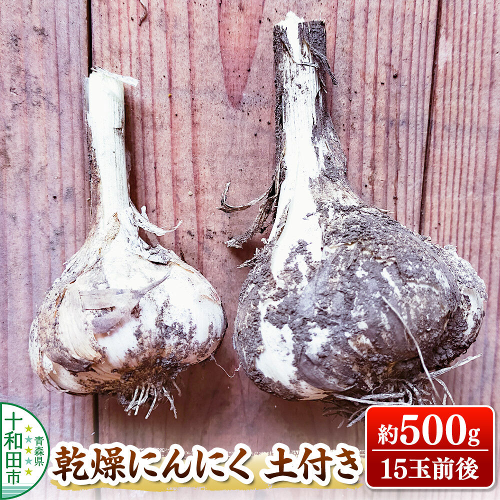 【ふるさと納税】乾燥にんにく土付き 約500g（約15玉） 青森県十和田市産 [ニンニク にんにく 野菜 根菜 国産 青森 十和田市]