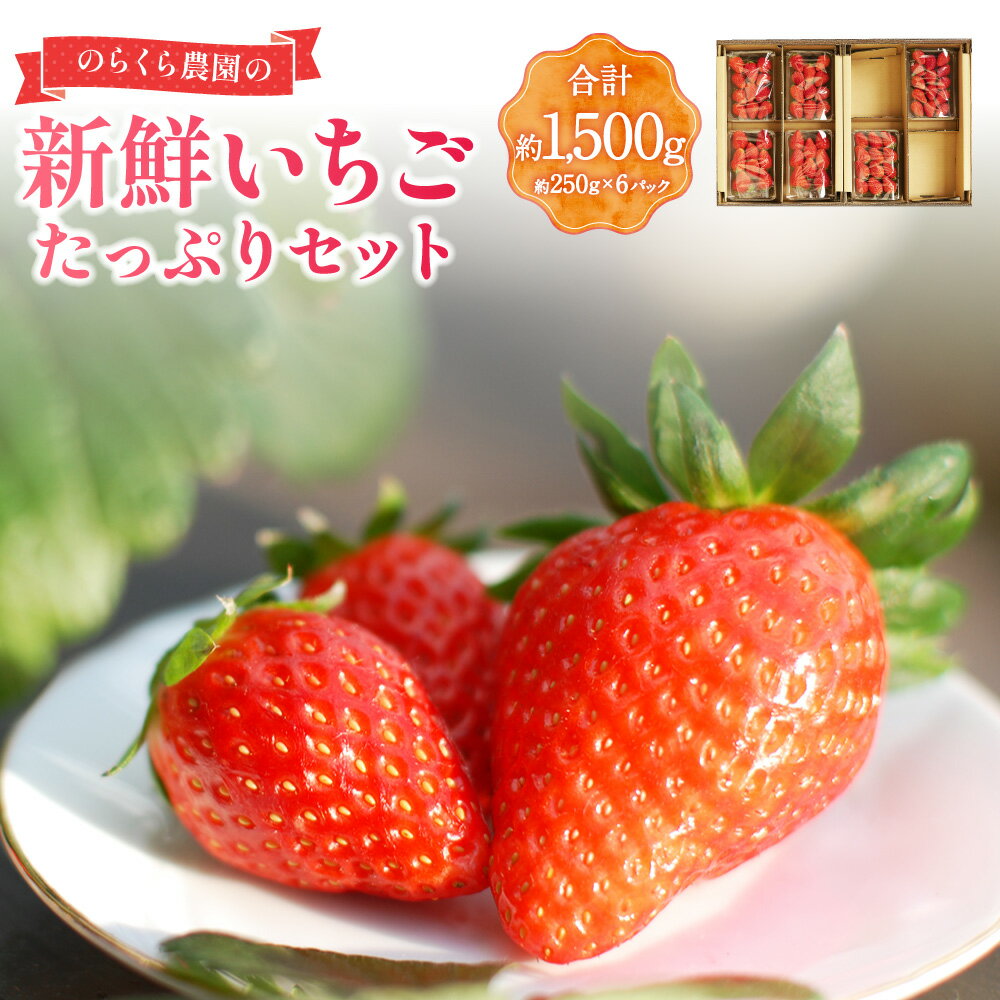 【ふるさと納税】【指定日必須】のらくら農園の新鮮いちご・たっぷりセット 計1.5kg（250g×6パック） いちご イチゴ 苺 章姫 フルーツ くだもの 果物 果実 デザート 冷蔵 三重県産 国産 三重県 桑名市 送料無料 【2026年3月上旬～3月下旬迄発送予定】
