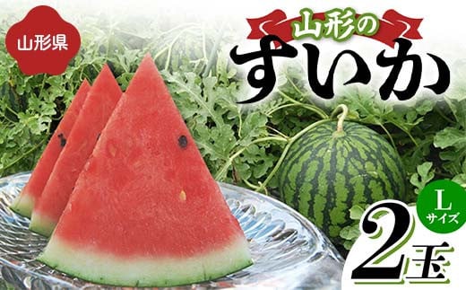 《先行予約 2025年度発送》山形県産すいか 2玉（Lサイズ）  スイカ すいか 西瓜 デザート フルーツ 果物 くだもの 果実 食品 山形県 FSY-1268