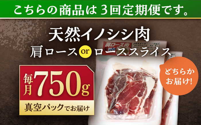 【3回定期便】ジビエ 天然イノシシ肉 肩ロース ＆ ロース スライス750g【照本食肉加工所】 [OAJ055]