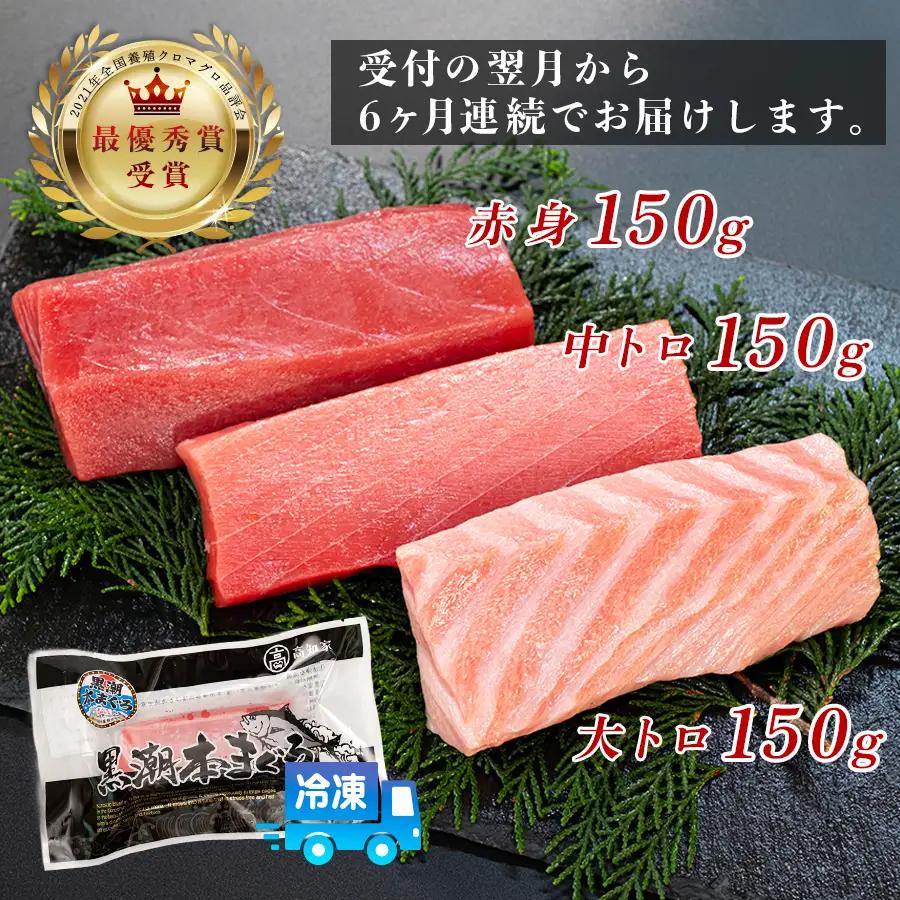 まぐろ マグロ 本鮪 黒潮本まぐろ 大トロ 中トロ 赤身 定期便 6回 計450g × 6回 刺身