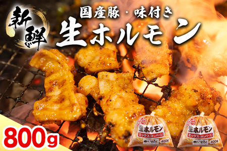 ホルモン 国産豚 味付き生ホルモンミックス 800g (DV042) 豚レバー入り 