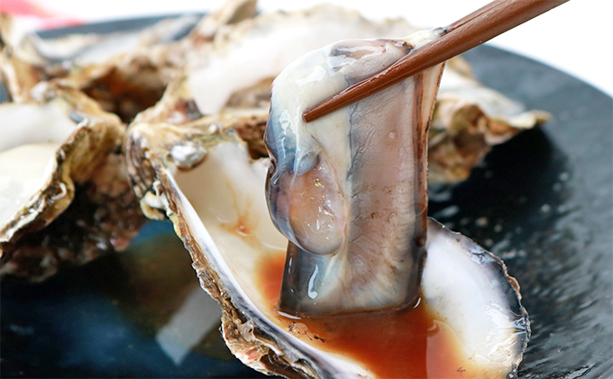 北海道 サロマ湖産 カキ 約4.7kg 牡蠣 海鮮 魚介 国産 殻付き 