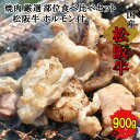 【ふるさと納税】 松阪牛 焼肉 【 松阪牛 ホルモン付 】 厳選部位 味比べ セット 900g 肉 牛 牛肉 和牛 ブランド牛 高級 国産 霜降り 冷凍 ふるさと 人気 焼肉用 BBQ バーベキュー 厳選 希少 食べ比べ セット ラム モモ バラ肉 赤身 ロース L3