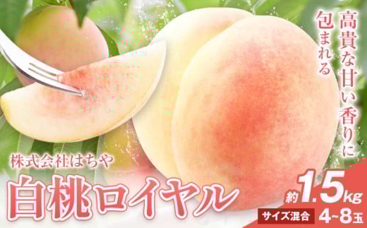 【2026年先行予約】岡山白桃 等級 ロイヤル 約1.5kg《2026年7月上旬‐8月下旬頃出荷》もも モモ 岡山 国産 フルーツ 果物 岡山県 浅口市 株式会社 はちや フルーツ モモ 果物 青果 旬 白桃 国産 岡山県産【配送不可地あり】