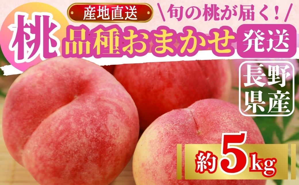 
            【2025年先行予約】桃(品種おまかせ)  約5kg｜ 果物 フルーツ もも モモ 白桃 白鳳 特産品 千曲市 長野県 信州
          