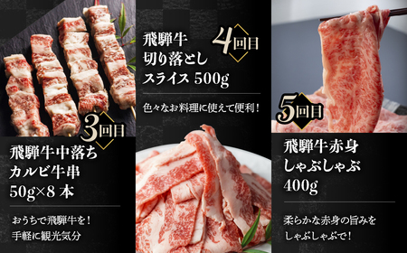 【毎月お届け】飛騨牛 5回定期便 （スライス すき焼き しゃぶしゃぶ 焼肉 牛串 ）5回 お楽しみ 食べ比べ 牛肉 肉 和牛[Q1675x]