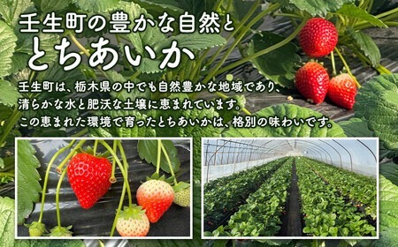 とちあいか 平パック 320g×4パック ｜ いちご 苺 栃木県 果物 フルーツ ※北海道・沖縄・離島への配送不可 ※2026年1月中旬～3月中旬頃に順次発送予定