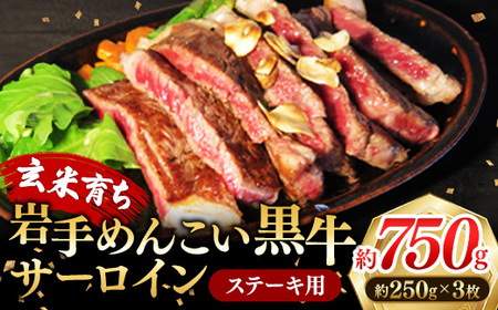 岩手めんこい黒牛 サーロイン ステーキ 約750g （250g×3） 国産 牛肉 肉 めんこい黒牛 サーロイン ステーキ 焼肉 小分け 冷凍 玄米育ち お肉 岩手県 岩手町
