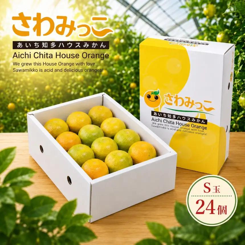 さわみっこ（S玉/24個） 2段化粧箱 | みかん 季節限定 先行予約 愛知県 美浜町