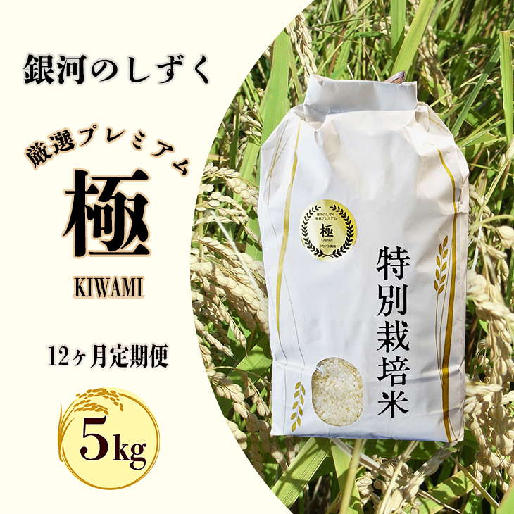 ＜令和8年産予約受付＞【12ヶ月定期便】銀河のしずく 厳選プレミアム　極（kiwami) 5kg 【2526】