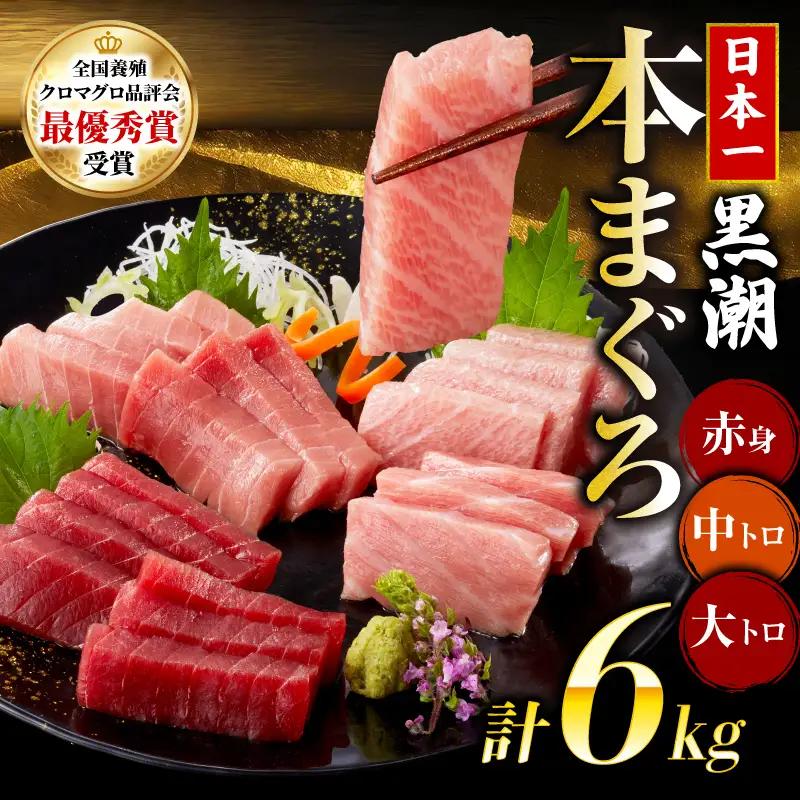 本マグロ3種セット 大トロ 中トロ 赤身 6kg まぐろ