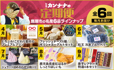 【 全6回 】 鹿屋 カンナナ便 KN000-T10 チーズ ヨーグルト ギリシャ プリン ブルーベリー 粒王 ジェラート アイス 干し芋 紅はるか 芋 フェスティバロ 唐芋レアケーキ スイーツ 菓子
