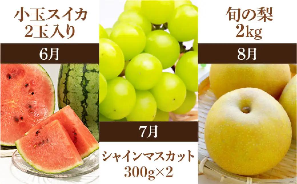 ＜ R8年熊本地震復興支援 ＞プロが選ぶ！旬の果物 10ヶ月定期便 【2027年3月上旬～12月下旬発送予定】 フルーツ いちご 柑橘 メロン スイカ シャインマスカット 梨