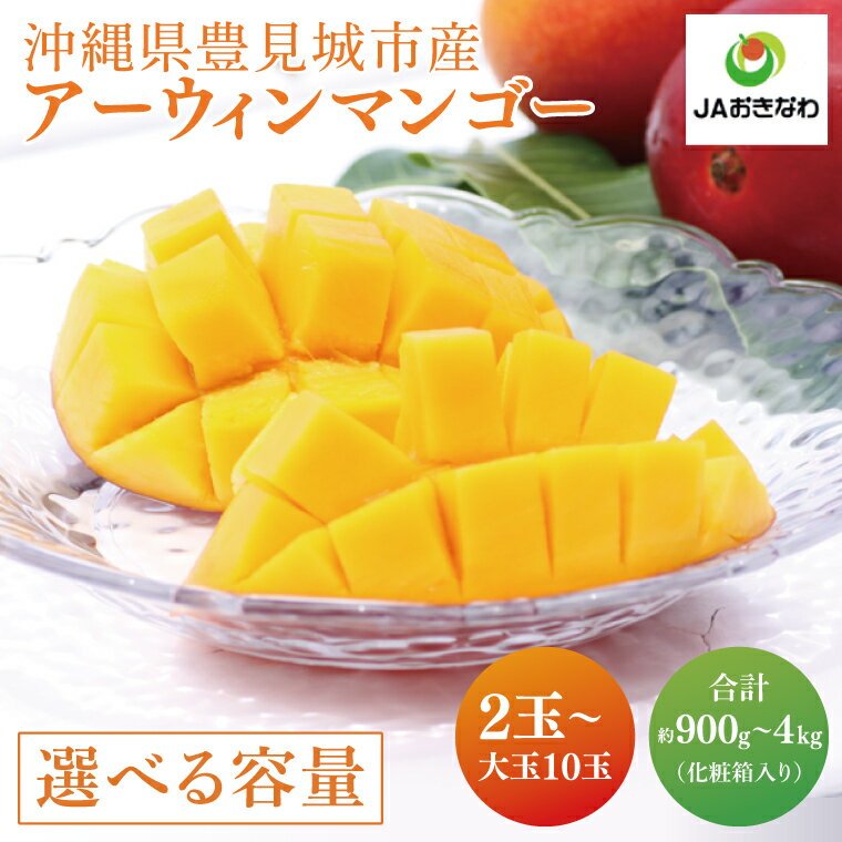 【ふるさと納税】【選べるサイズ】 ≪ アーウィンマンゴー ≫ 数量限定 ※2025年6月より順次発送します。 沖縄県産 豊見城市 大容量 マンゴー アップルマンゴー アーウィン フルーツ 完熟 果物 くだもの おきなわ 先行予約 ギフト 贈答 贈り物 プレゼント 送料無料 (AE011)