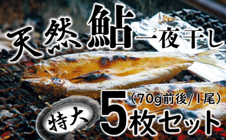 【四万十川の天然鮎】特大サイズ一夜干し5枚セット ／Esg-A27 あゆ アユ 鮎 川魚 あゆの塩焼き