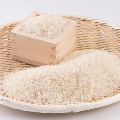 ふるさと納税 美作市 【令和7年産】岡山県産こしひかり10kg(5kg×2袋) |  | 02