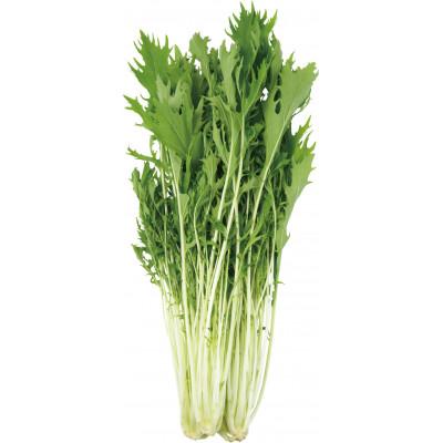 ふるさと納税 行方市 「みず菜」100g×20袋