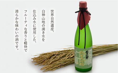 日本酒 定期便 3ヶ月 純米大吟醸 安東水軍 720ml ×1本 お酒 酒 地酒 純米大吟醸酒 フルーティー フルーティーな日本酒 清酒 アルコール ギフト プレゼント 贈答 男性 女性 送料無料 青