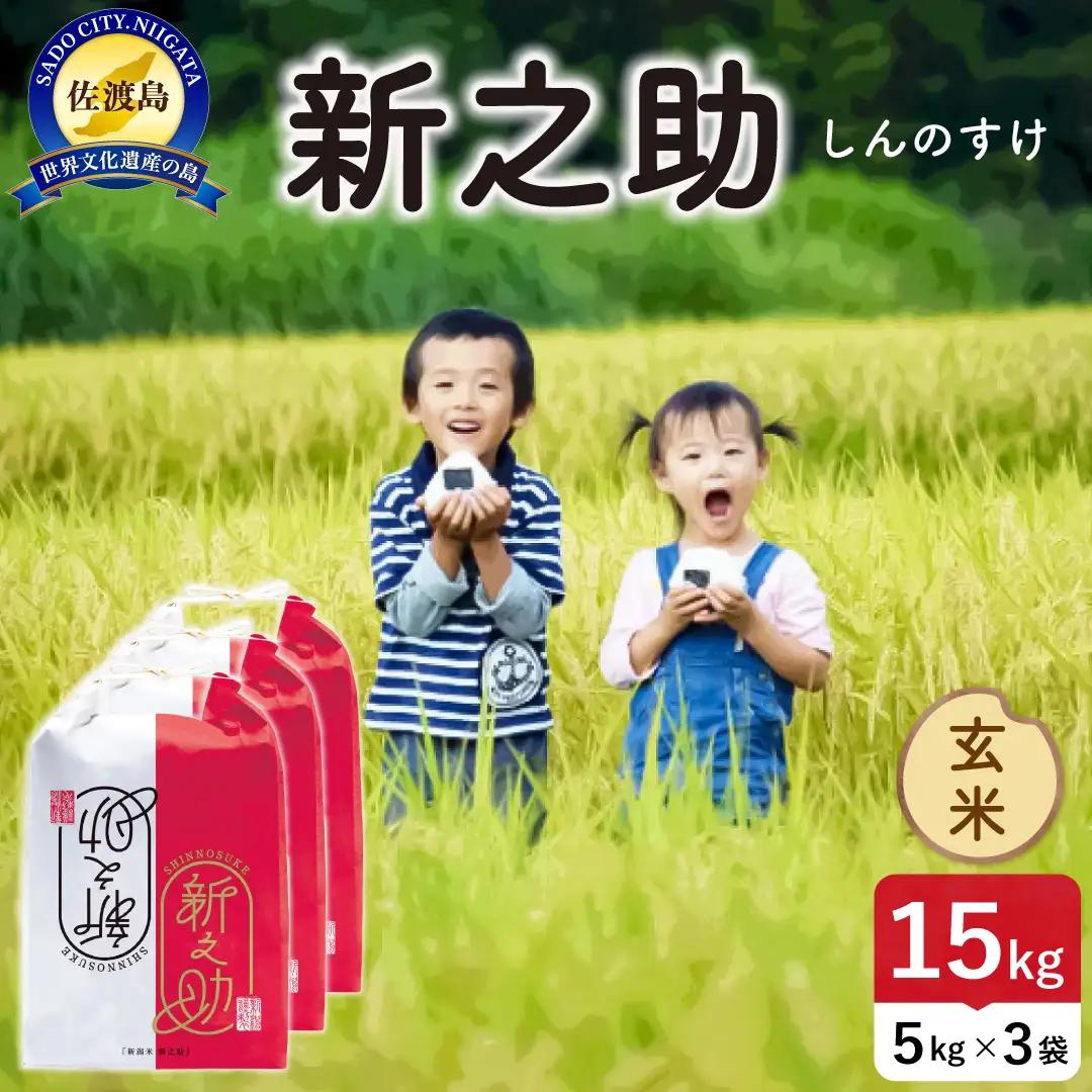令和8年産 佐渡島産 新之助 玄米15kg