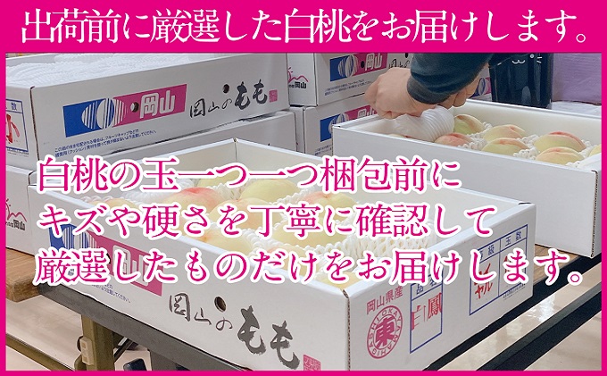 桃 2024年 先行予約 岡山の白桃 200g以上×8玉 白桃 旬 みずみずしい 晴れの国 おかやま 岡山県産 フルーツ王国 果物王国