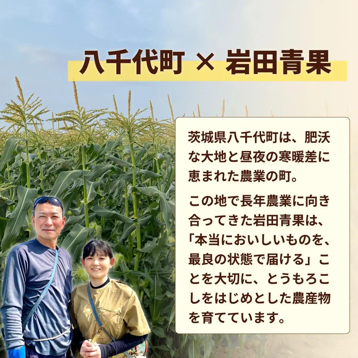 とうもろこし ゴールドラッシュ 6kg 茨城県産  トウモロコシ 深夜採り 朝出荷