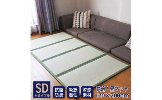 
            国産い草使用 リバーシブル畳マット TOIRO セミダブル
          