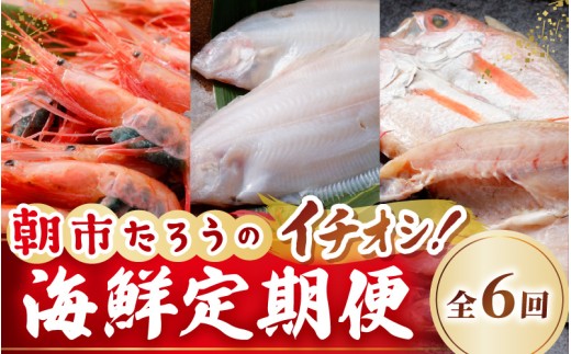 【6ヶ月連続お届け】朝市たろうのイチオシ海鮮定期便 [G-12301]