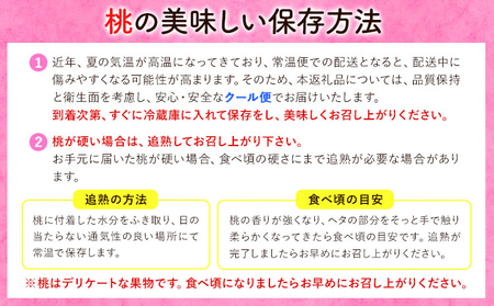 【2027年発送】 桃 岡山の桃 約2kg