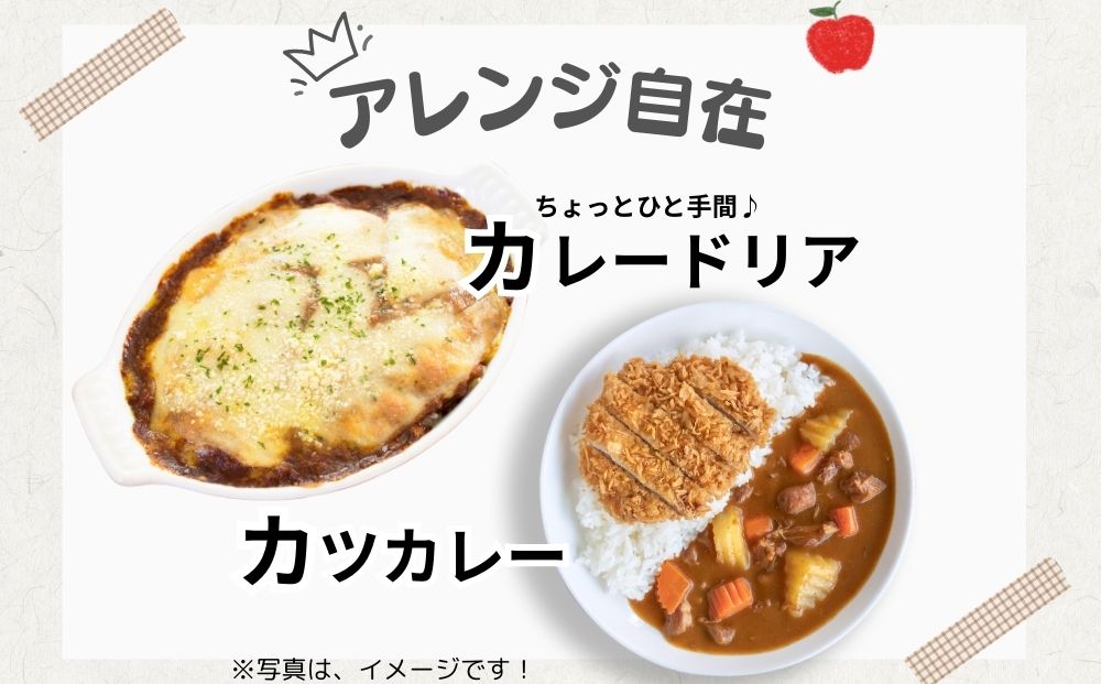 農家のたっぷり野菜カレー 10個／ふるさと納税 レトルトカレー 詰め合わせ 無添加 ギフト 10食 野菜 ふるさと 有機野菜 オーガニック 飯 簡単 時短 保存食 奈良県 宇陀市 山口農園