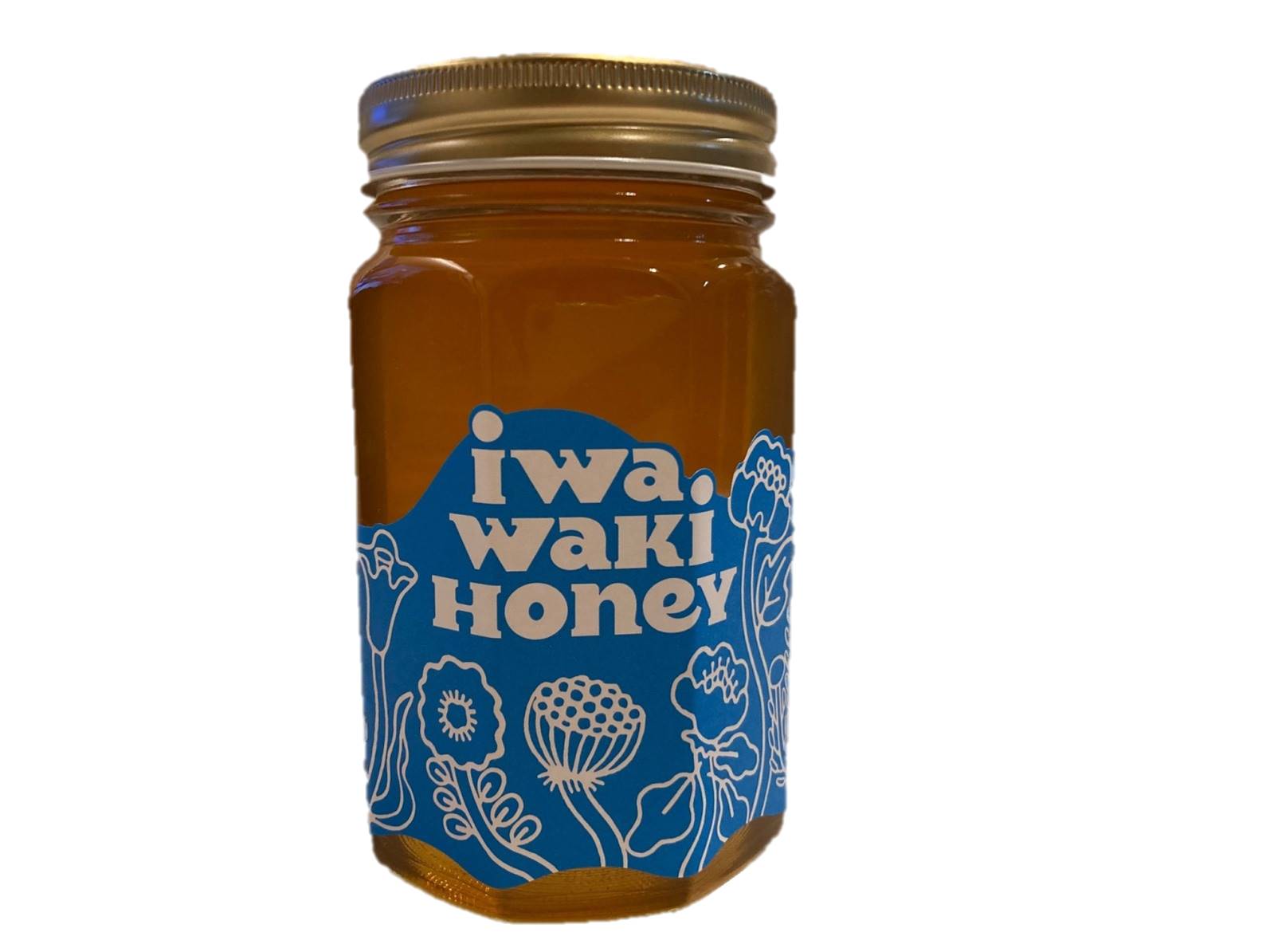 栄養豊富＆低カロリー！岩湧ハニー（百花・純粋はちみつ）500g×1本｜大阪・岩湧山で採れた天然はちみつ｜美容・健康に嬉しい成分たっぷり／パンやヨーグルトにもおすすめ！2025年6月中旬以降発送予定