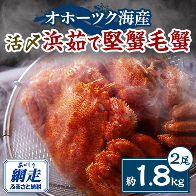 ふるさと納税 網走市 オホーツク海産・堅蟹毛蟹2尾(約1.8kg)
