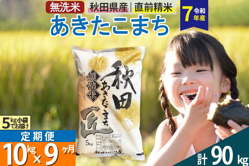【無洗米】＜令和7年産＞《定期便9ヶ月》秋田県産 あきたこまち 匠 10kg (5kg×2袋) ×9回 10キロ お米 |02_snk-030609s