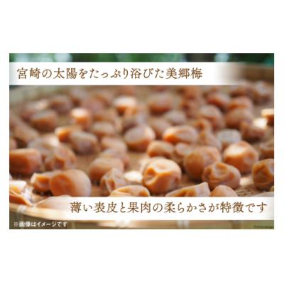 ふるさと納税 美郷町 美郷町 詰め合わせ 明治神宮 秋の例大祭 奉献品 セット 美郷梅 うまみ昆布 [31ab0131] |  | 01