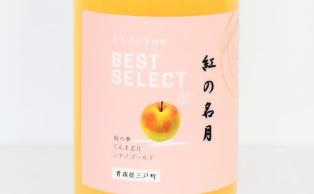 「紅の名月」りんごジュース（ストレート）1L×6本【みちはた果樹園】